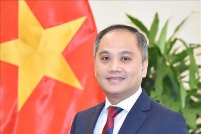 Quan hệ Việt Nam - New Zealand đứng trước nhiều cơ hội phát triển mới