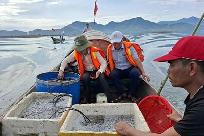 Thả tái tạo 25 ngàn con giống thủy sản nước lợ tại đầm Cầu Hai