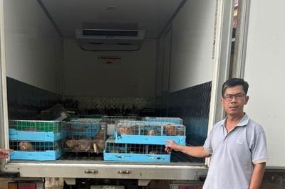 Buôn lậu động vật hoang dã