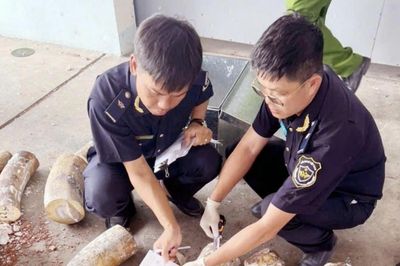 Hải quan triệt phá vụ buôn lậu ngà voi lớn tại miền Trung, thu giữ hơn 1,2 tấn tang vật