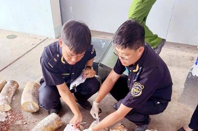 Hải quan phát hiện vụ vận chuyển trái phép ngà voi, xương động vật hoang dã quy mô đặc biệt lớn tại miền Trung