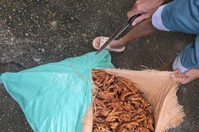 Quảng Ninh: Bắt giữ 2.600 kg chân gà không rõ nguồn gốc, xuất xứ
