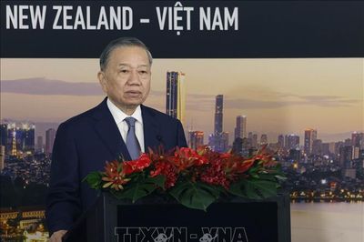 Tổng Bí thư, Chủ tịch nước Tô Lâm dự Hội nghị bàn tròn doanh nghiệp New Zealand - Việt Nam