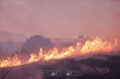 NASA nghiên cứu các cơn bão hình thành từ cháy rừng