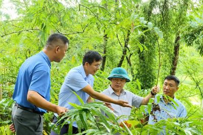 Những bước chân xuống bản ở Sín Thầu