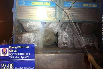 Gia Lai: Tạm giữ xe tải chở hơn 12m3 gỗ không có giấy tờ