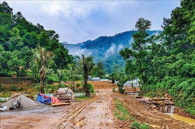 Hà Nội yêu cầu xử lý dứt điểm vi phạm tại rừng phòng hộ Sóc Sơn trước 5/9