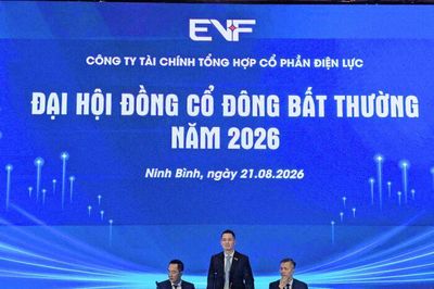 Phó Chủ tịch Mai Danh Hiền xin từ nhiệm, EVF dự kiến bầu cựu lãnh đạo trở lại làm thành viên HĐQT độc lập