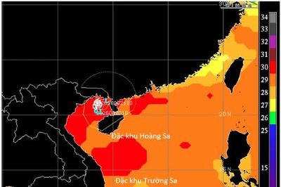 Bão số 4 di chuyển chậm, gây mưa lớn ở khu vực phía Đông Bắc Bộ và Thanh Hóa