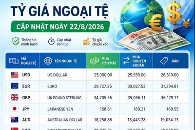 Tỷ giá ngoại tệ: 1 USD đổi bao nhiêu đồng Việt Nam?