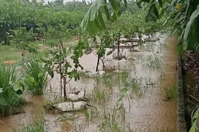 Hải Phòng: Bão số 4 mưa lớn gây ngập úng diện rộng và sạt lở đất tại nhiều khu vực