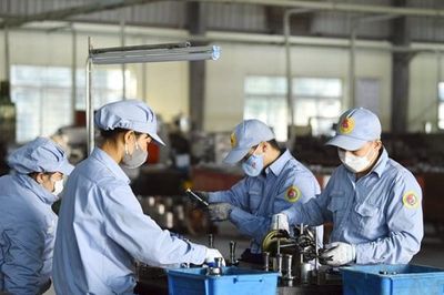 Đề xuất nâng ngưỡng khấu trừ 10% thuế TNCN lên trên 15,5 triệu đồng/tháng