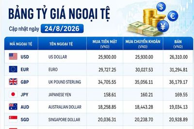 Tỷ giá ngoại tệ ngày 24/8: USD 26.310 đồng, bảng Anh tiến sát 36.200 đồng