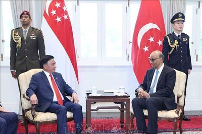 Đưa quan hệ Đối tác Chiến lược toàn diện Việt Nam - Singapore đi vào chiều sâu, thực chất