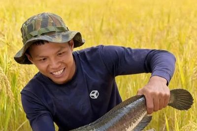 Chàng trai Cà Mau và hành trình 'sống cùng rừng'