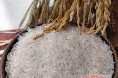 Xuất khẩu gạo Việt: Đã đến lúc không chỉ tính bằng triệu tấn