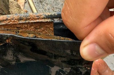 Gia Lai: Phát hiện tấm ảnh một cô gái trong quá trình khai quật mộ liệt sĩ