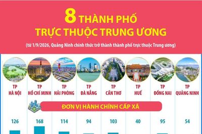 Thông tin về 8 thành phố trực thuộc Trung ương