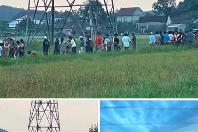 Dùng ô gỡ dây viễn thông, người lái máy gặt bị điện phóng tử vong