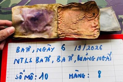 Quảng Ngãi: Phát hiện ví mang tên 'Trọng Thanh' trong mộ liệt sĩ chưa xác định danh tính
