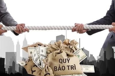 Cư dân cần biết: Những vi phạm nào của chủ đầu tư bị phạt tới 300 triệu đồng?