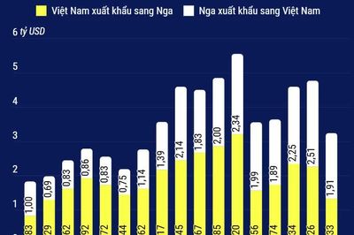 Quan hệ thương mại song phương giữa Việt Nam và Liên bang Nga