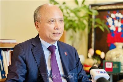 Chuyến thăm của Tổng Bí thư, Chủ tịch nước Tô Lâm sẽ cụ thể hóa tầm nhìn chiến lược Việt - Pháp​