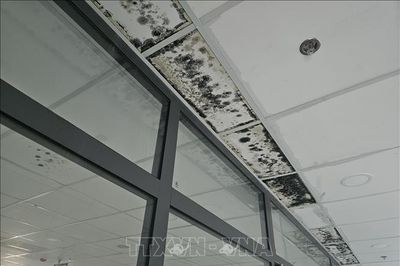 Khắc phục tình trạng thấm, dột tại dự án nâng cấp Bệnh viện Đa khoa Đắk Nông