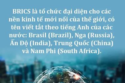 Việt Nam chủ động mở rộng không gian hợp tác từ BRICS
