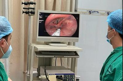 Hy hữu: Kiến chui vào thanh quản khi người đàn ông hút nước từ lu