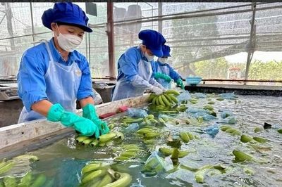 Chuyên gia 'hiến kế' để doanh nghiệp Việt biến cơ hội từ dịch chuyển chuỗi cung ứng thành đơn hàng