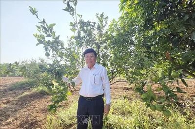 Dựng cơ nghiệp từ vùng đất cằn