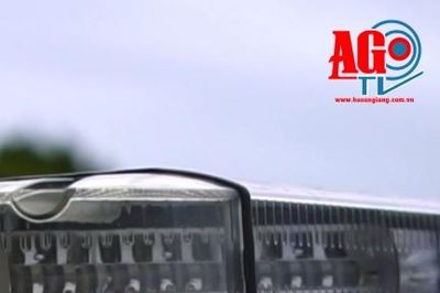 Bắt bị can hiếp dâm con riêng của "mẹ kế hờ" ở An Giang