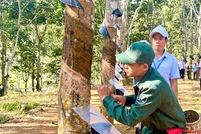 Đội Cao su Điện Biên giành giải Nhất toàn đoàn Hội thi 'Bàn tay vàng'