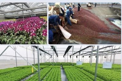Vận động doanh nghiệp đồng hành phát triển lâu dài - cơ hội mới cho nông nghiệp hữu cơ