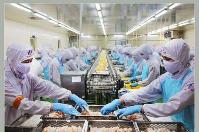 Xuất khẩu thủy sản vượt 8 tỷ USD, doanh nghiệp đối mặt áp lực kép từ thuế và tiêu chuẩn xanh