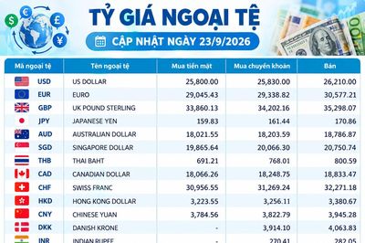 Tỷ giá ngoại tệ ngày 23/9: USD ở 26.210 đồng, KWD dẫn đầu bảng giá bán