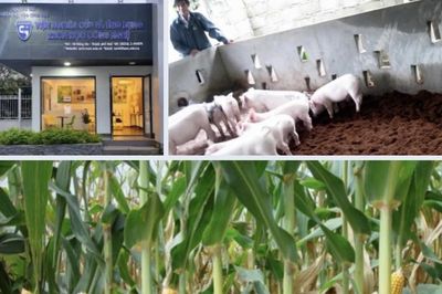 Phát triển công nghiệp sinh học ngành nông nghiệp theo hướng ứng dụng, hiệu quả và bền vững