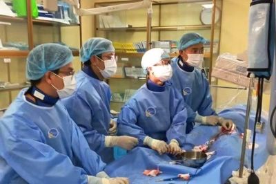 Đau bụng kéo dài, sụt 10 kg vì tổn thương loét động mạch chủ