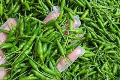 Ớt gió vùng cao có giá cao gấp nhiều lần ớt thường vì sao?