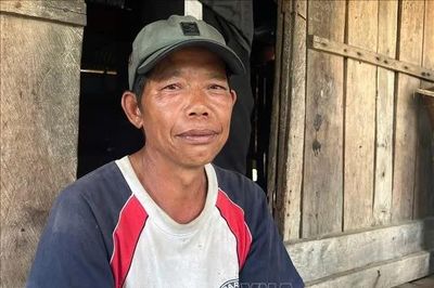 Gia Lai làm rõ vụ người dân 'không hay biết' đơn xin trồng rừng
