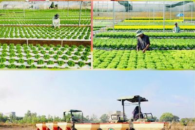 Đẩy mạnh cơ giới hóa, nâng cao hiệu quả sản xuất nông nghiệp