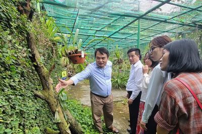 Hành trình lưu giữ hàng trăm loài động, thực vật quý hiếm