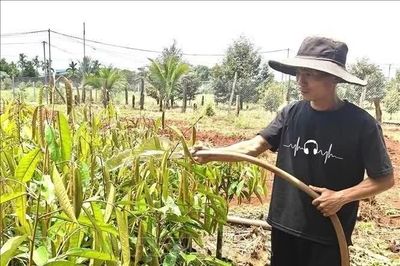 Tín dụng chính sách tiếp sức người sau cai nghiện làm lại cuộc đời