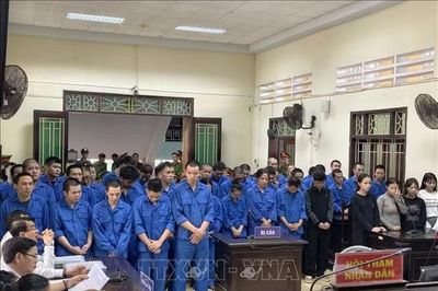 Tuyên phạt hơn 424 năm tù trong vụ án tổ chức sử dụng ma tuý quy mô lớn