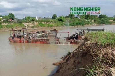 Đề nghị kiểm tra hoạt động khai thác cát, làm rõ nguyên nhân sạt lở sông Krông Nô