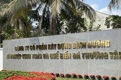 Xây dựng Bình Dương khai thác vượt phép tại mỏ Thường Tân III, để ngoài sổ kế toán 205.407 m³ đá