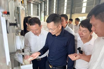 Khép kín từ thu gom bụi đến tận dụng phụ phẩm: Giảm hao hụt, nâng giá trị nông sản