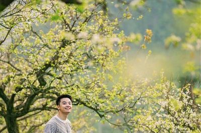 Mộc Châu mùa hoa mận nở trái mùa
