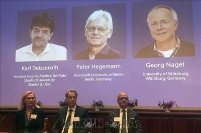 3 nhà khoa học đoạt Nobel Y Sinh nhờ công nghệ điều khiển neuron bằng ánh sáng